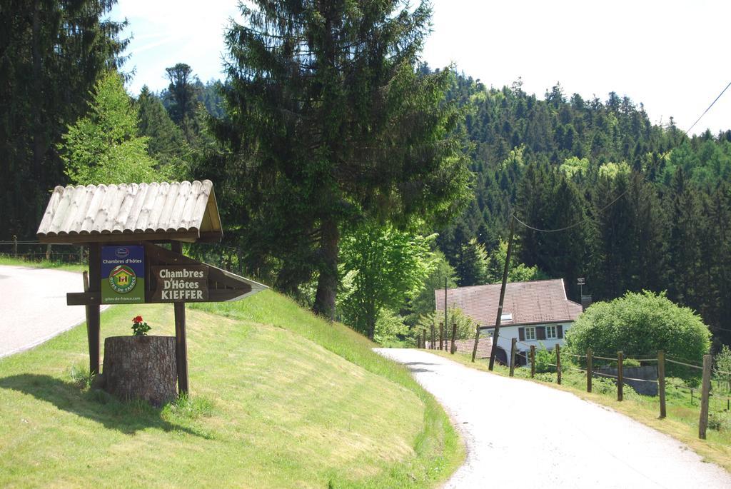 Chambre D'Hotes Kieffer Le Grand Bienfaisy Remiremont Dış mekan fotoğraf