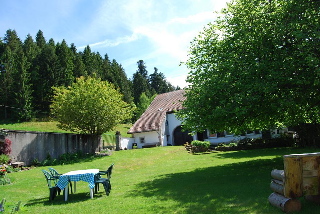 Chambre D'Hotes Kieffer Le Grand Bienfaisy Remiremont Dış mekan fotoğraf