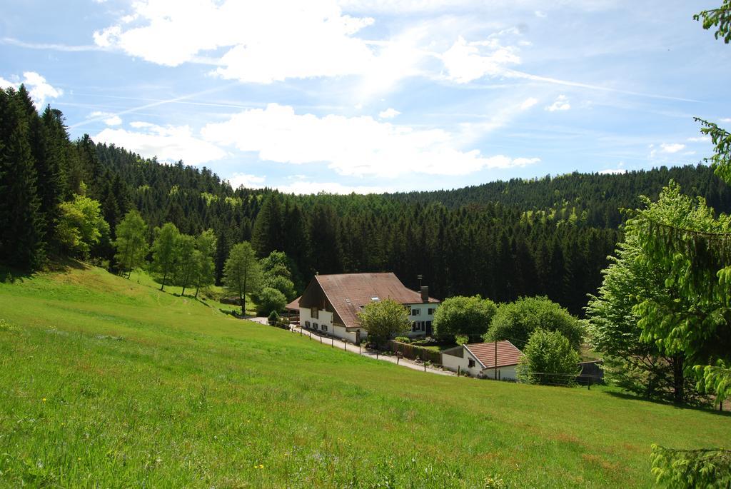 Chambre D'Hotes Kieffer Le Grand Bienfaisy Remiremont Dış mekan fotoğraf
