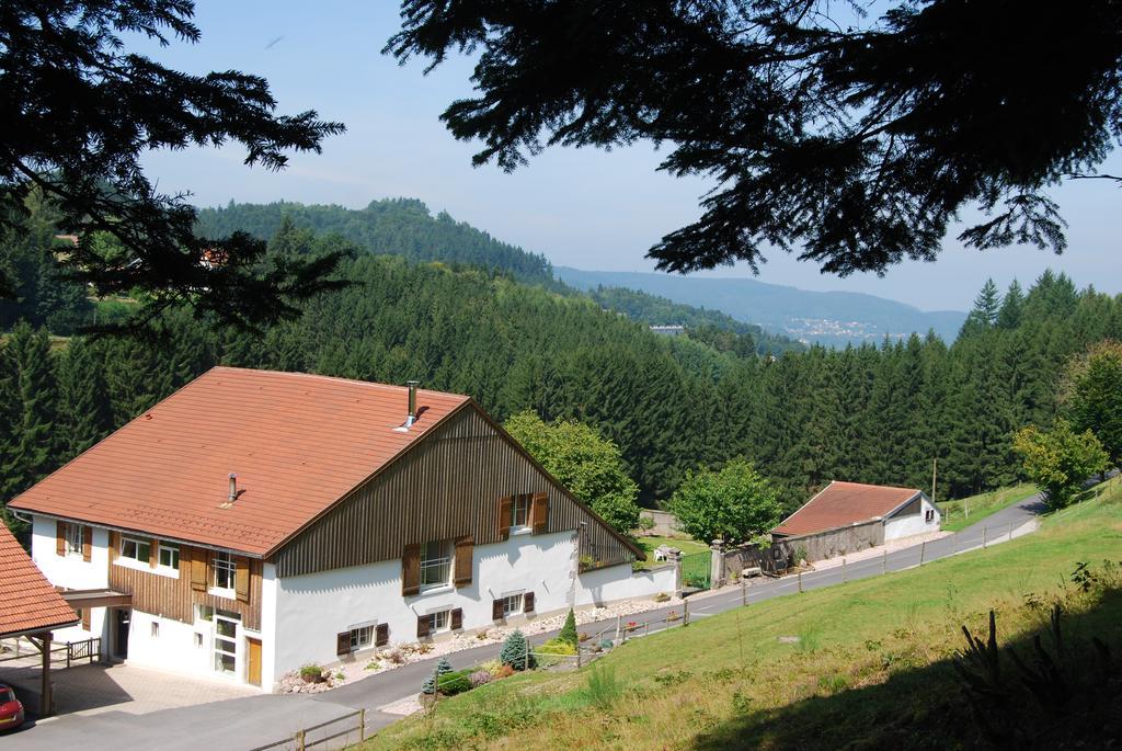 Chambre D'Hotes Kieffer Le Grand Bienfaisy Remiremont Dış mekan fotoğraf